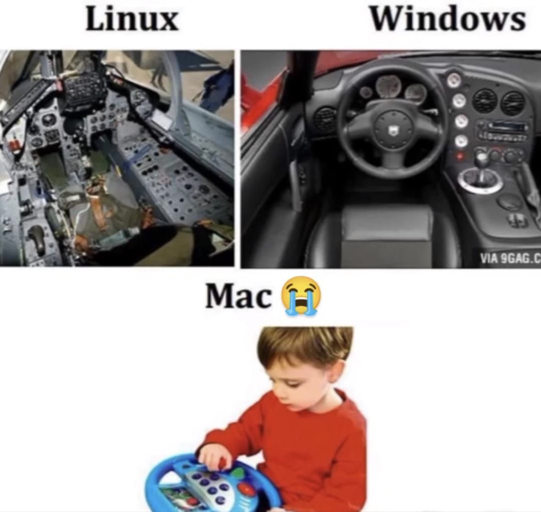 https://media.photowebcloud.fr/large/6a58cb51ce8a4.jpg